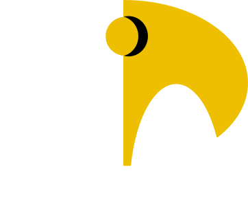 Nox and Noon Logo